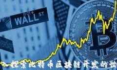 深入探索比特币区块链开