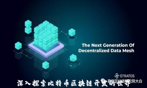 
深入探索比特币区块链开发的世界