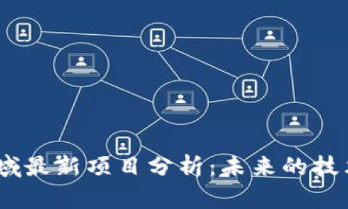 2023年区块链领域最新项目分析：未来的技术趋势与投资机会