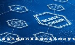  牙医币区块链的最新动态