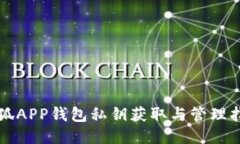 小狐APP钱包私钥获取与管理指南
