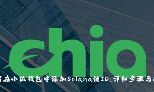 如何在小狐钱包中添加Solana链ID：详细步骤与技巧