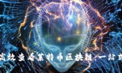 如何高效查看莱特币区块链：一站式指南