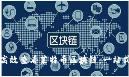 如何高效查看莱特币区块链：一站式指南