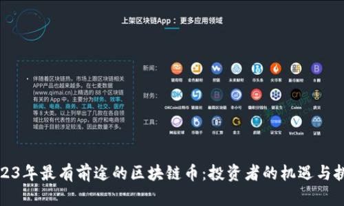 2023年最有前途的区块链币：投资者的机遇与挑战
