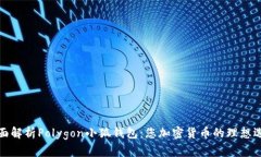 全面解析Polygon小狐钱包：