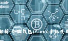 全面解析：小狐钱包iPho