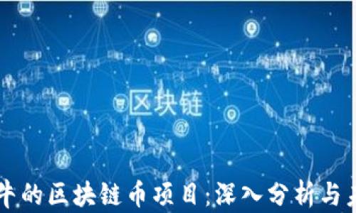 
国内最牛的区块链币项目：深入分析与未来展望