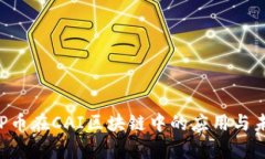探索BSP币在CAI区块链中的