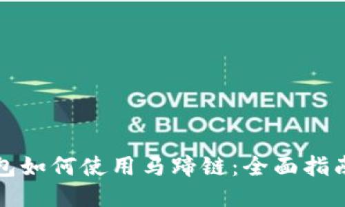小狐钱包如何使用马蹄链：全面指南与技巧