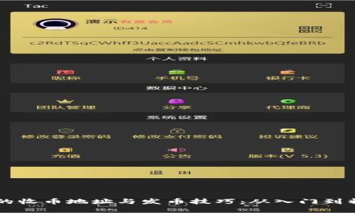 区块链世界中的收币地址与发币技巧：从入门到精通的完整指南