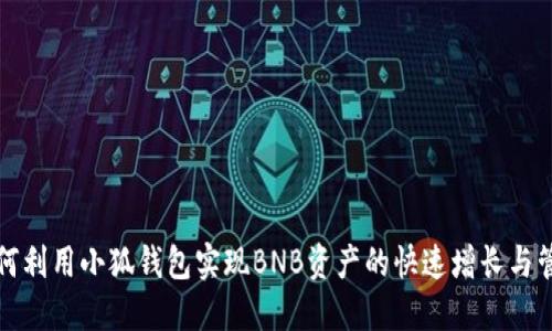 如何利用小狐钱包实现BNB资产的快速增长与管理