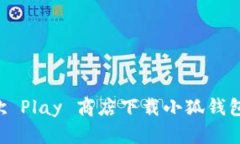 如何在谷歌 Play 商店下载