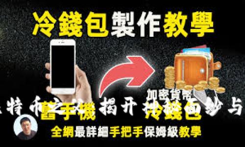 区块链之父与比特币之父：揭开神秘面纱与技术背后的故事