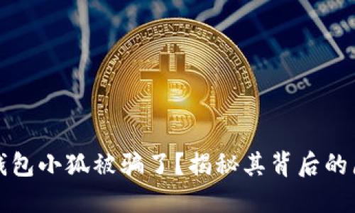 : 为什么钱包小狐被骗了？揭秘其背后的原因与对策