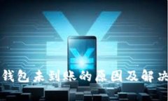 小狐钱包未到账的原因及