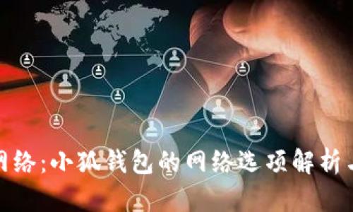 选择最佳网络：小狐钱包的网络选项解析与应用成果