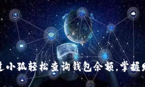 如何通过小狐轻松查询钱包余额，掌握财务动态