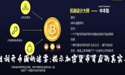 区块链剥开币圈的迷雾：揭示加密货币背后的真实与未来