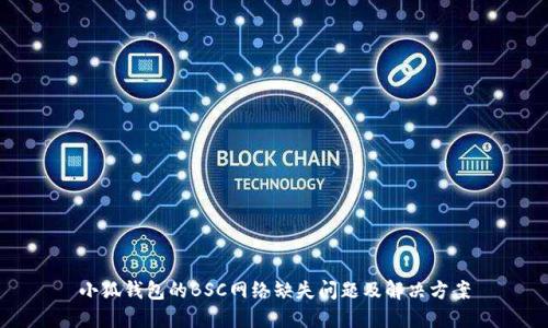 小狐钱包的BSC网络缺失问题及解决方案
