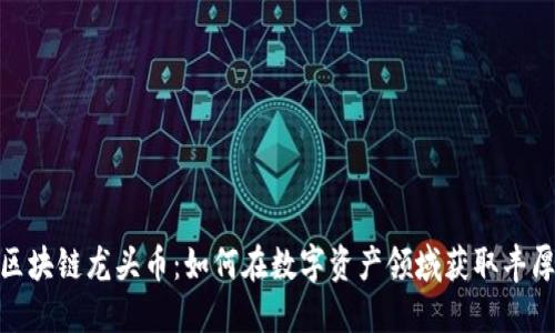 探秘区块链龙头币：如何在数字资产领域获取丰厚回报