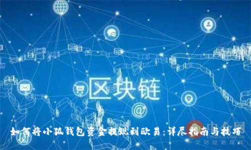 如何将小狐钱包资金提现到欧易：详尽指南与技巧
