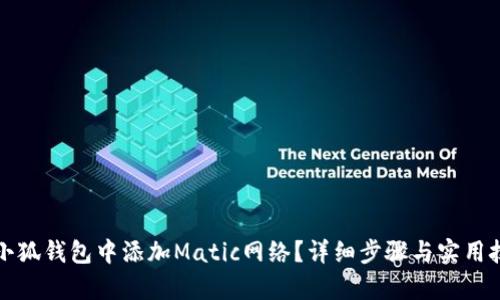 如何在小狐钱包中添加Matic网络？详细步骤与实用技巧解析