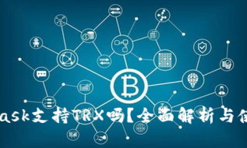 MetaMask支持TRX吗？全面解析与使用指南