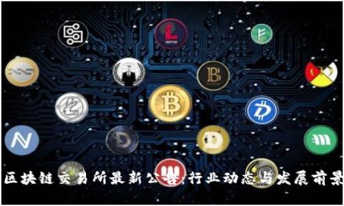剑桥区块链交易所最新公告：行业动态与发展前景分析