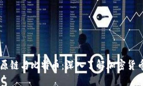 区块链原链与比特币：深入了解加密货币的本质