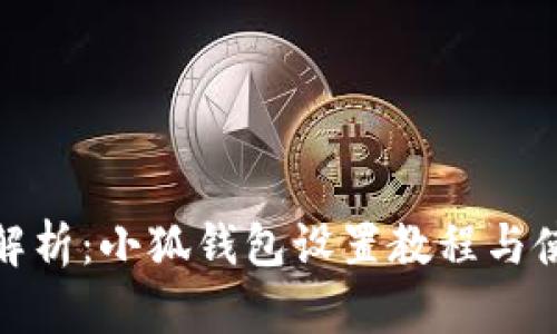 : 全面解析：小狐钱包设置教程与使用技巧