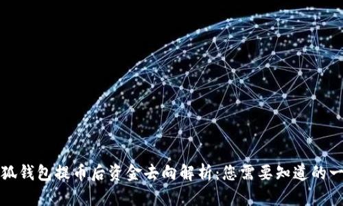 小狐钱包提币后资金去向解析：您需要知道的一切