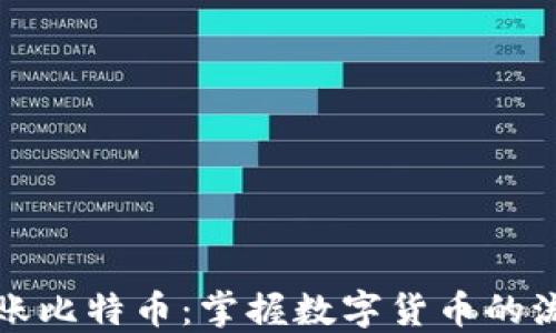 
区块链转账比特币：掌握数字货币的流通与安全