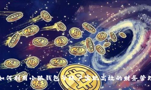 如何利用小狐钱包子账户实现高效的财务管理
