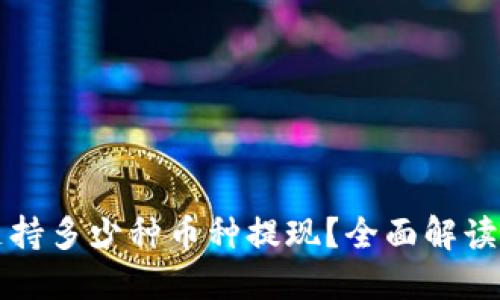 小狐钱包支持多少种币种提现？全面解读及操作指南