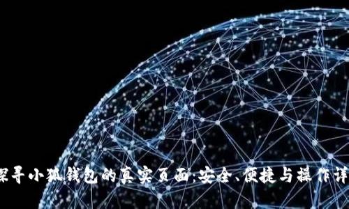 :探寻小狐钱包的真实页面：安全、便捷与操作详解