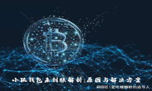 小狐钱包未到账解析：原因与解决方案
