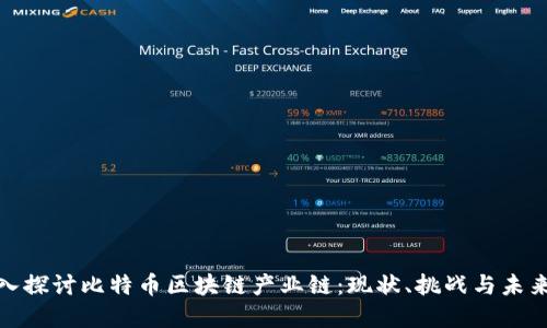 : 深入探讨比特币区块链产业链：现状、挑战与未来发展