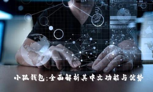  小狐钱包：全面解析其中文功能与优势