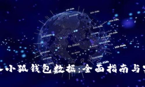 如何导入小狐钱包数据：全面指南与实用技巧