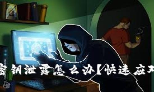 : 小狐钱包密钥泄露怎么办？快速应对与解决方案