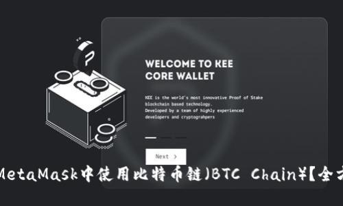 如何在MetaMask中使用比特币链（BTC Chain）？全方位指南
