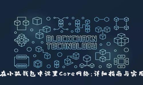 如何在小狐钱包中设置Core网络：详细指南与实用技巧