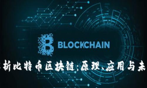 深入解析比特币区块链：原理、应用与未来发展